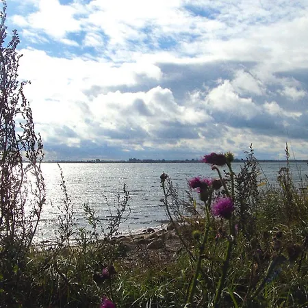In Petersdorf For 6 Personen, Cleaning Included *